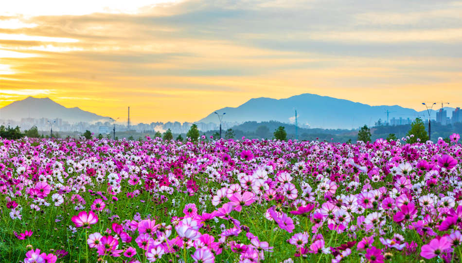 Han River Park photo