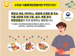 수인성 식품매개감염병이란 무엇인가요? 병원성 세균, 바이러스, 원충에 오염된 물 또는 식품 섭취로 인해 구토, 설사, 복통 등의 위장관증상이 주로 발생하는 질환입니다. *주요질환 : 장관감염증(살모넬라균감염증 등), 콜레라, 장티푸스, 파라티푸스, 세균성이질, 비프리오폐혈증 등