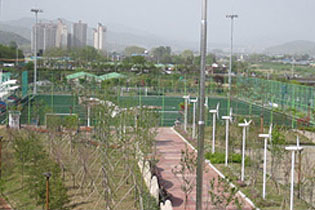축구장 사진